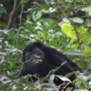 Meet your Posher, Eileen